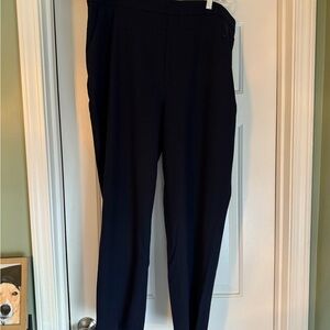 Banana Republic Navy Women's Hayden Pants